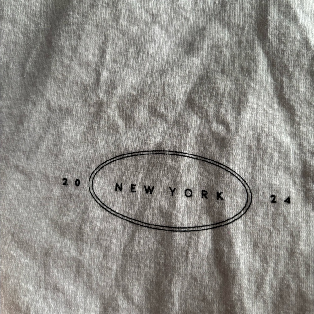 Zara Gray Short Sleeve Tee with Urban Graphic